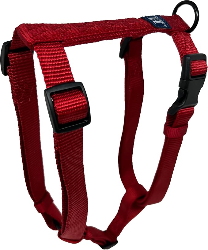 Hamilton Adjustable Nylon Dog Harness, Small 5/8" x 12-20", Red | Premium Quality Nylon, Durable Buckle, Sturdy D-Ring, No Pull, 4 Point Adjustable, Small &amp; Medium Breed Dogs