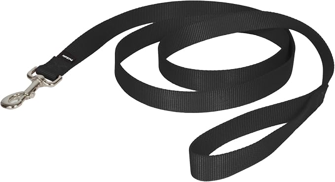 PetSafe Nylon Dog Leash - Strong, Durable, Traditional Style Leash with Easy to Use Bolt Snap - 1 in. x 6 ft., Black