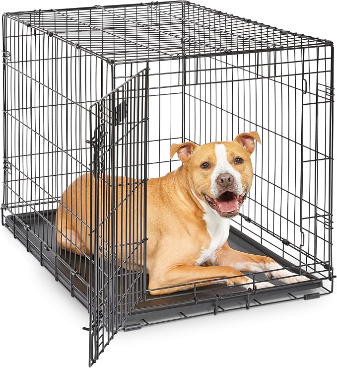 Midwest 36-Inch Single Door iCrate, for Medium-Large Breeds, 41-70 lbs | Folding Dog Crate with Divider Panel, Leak-Proof Tray &amp; Secure Latches, Portable, Durable &amp; Easy to Assemble