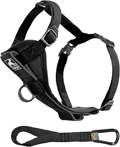 Kurgo Tru-Fit Smart Harness, Black, Medium | Dog Walking Harness with Quick Release Buckles, Front &amp; Back Leash Attachments, Reflective Trim, Includes Seatbelt Tether