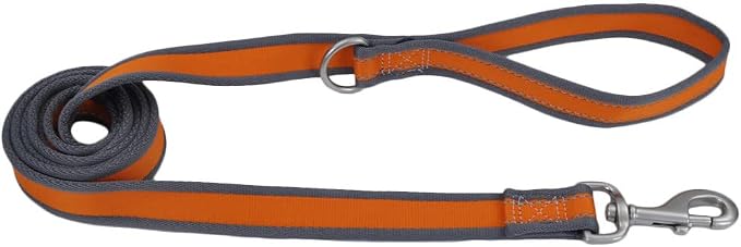 Coastal - Pro Reflective Dog Leash - 6 Foot Dog Leash with D-Ring - Bright Orange with Grey - 3/4” x 6’