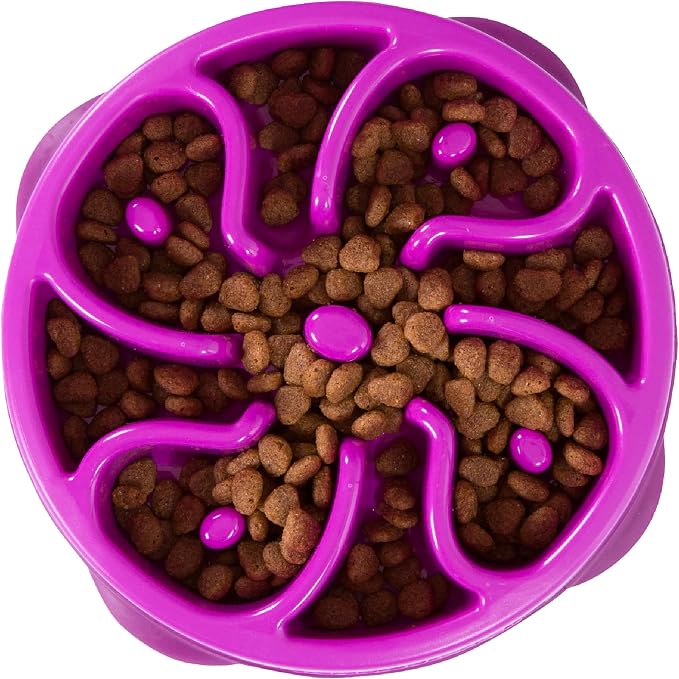 Outward Hound Fun Feeder Slo Bowl Dog Slow Feeder, Flower, Purple, 8.5" | Slows Fast Eaters, Can Aid Digestion, Holds 2 Cups Dry or Wet Food, Non-Slip, Easy Clean, No BPA, Small to Medium Dogs & Cats