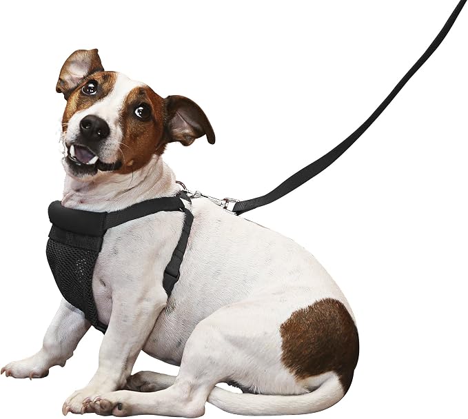 YUP! SPORN Comfort Harness for Dogs, Black, Small