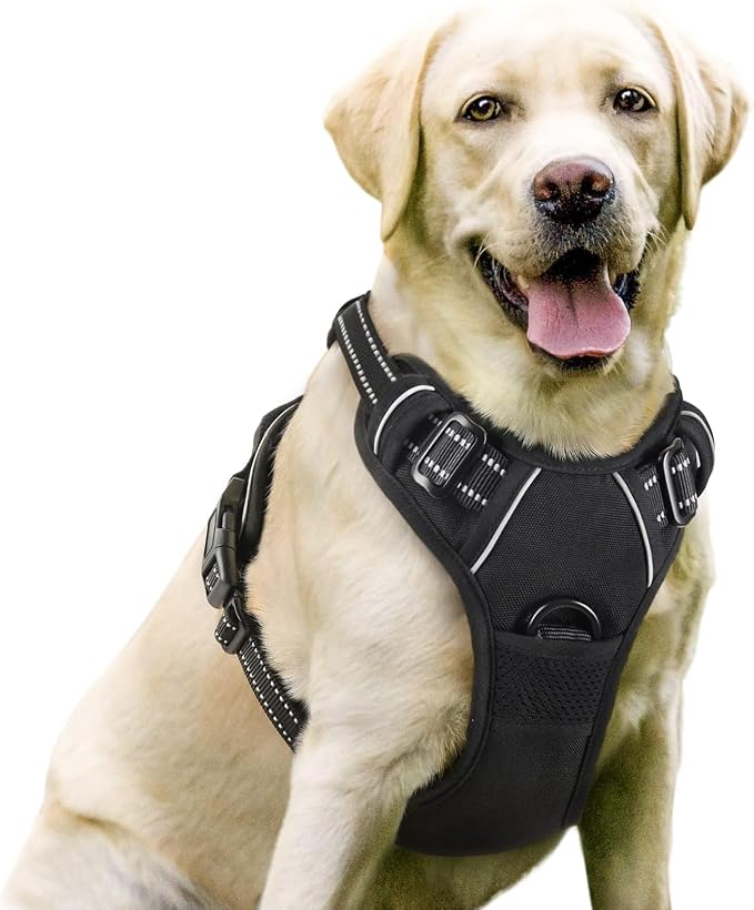 rabbitgoo Dog Harness, No Pull for Large Dogs with 2 Leash Clips, Pet Vest | No Choke with Handle, Adjustable Soft Padded, Reflective, Easy Control for Walking, Black, Large