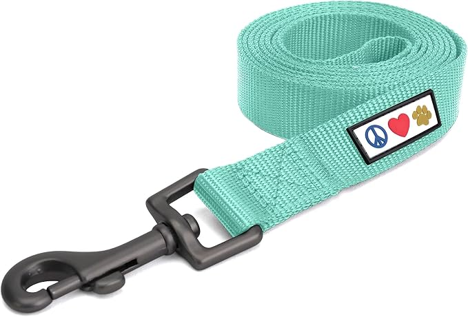 Pawtitas Solid 6 ft Teal Dog Leash XS/S Custom Name and Phone Embroidery Strong Nylon Leash for Small Breeds