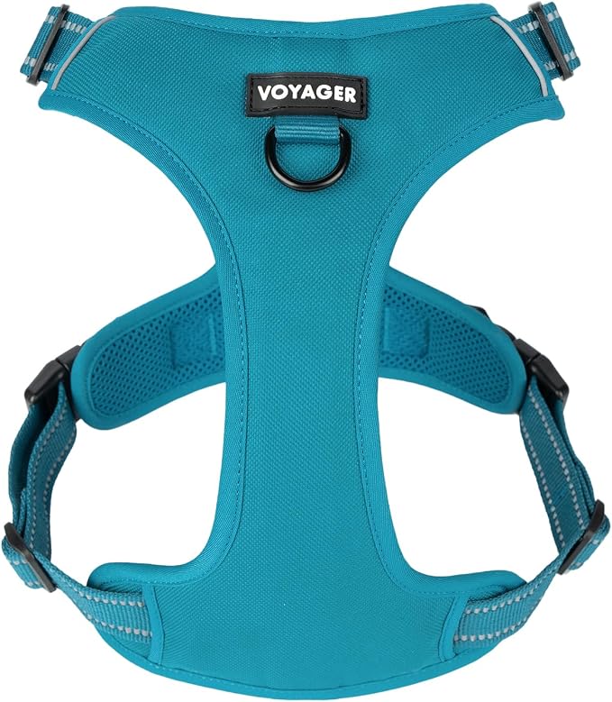 Voyager Dual Attachment No Pull Harness - Turquoise, Small | 16 - 20" in Chest, No Pull Dog Harness, Fully Adjustable, 3M Reflective Technology, Front &amp; Back D-Rings, Walking &amp; Training