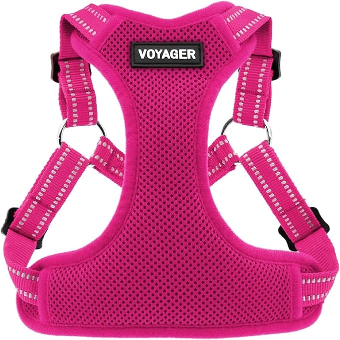 Voyager Step-in Flex Adjustable Dog Harness - Fuchsia, Medium | 17 - 21" in Chest, Fully Adjustable, Reflective Bands, All Weather Breathable Air Mesh, Lightweight, Fast Drying