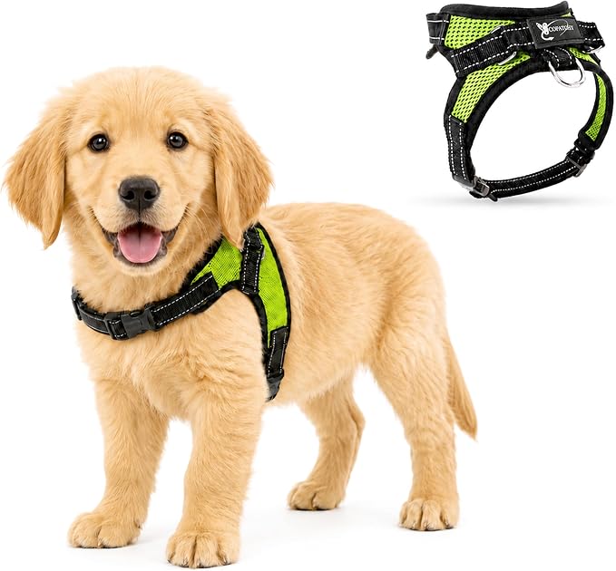 Copatchy No Pull Reflective Adjustable Dog Harness with Handle- Comfortable Soft All Weather Mesh, Easy On Puppy Harness for Small Medium and Large Dogs (Green) Small