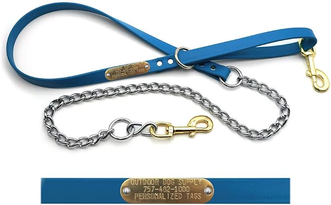 5ft Beta & Chain Heavy-Duty Dog Leash with Custom Name Tag (Light Blue) | Odor-Resistant Material, USA-Made, Durable, Synthetic Leather