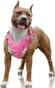 BARKBAY Dog Harness for Large Dogs No Pull Dog Vest ID Tag Pocket | Air-Mesh,2 Clips Top Handle Control,Durable Comfortable Design For Walking,Training,Running(Pink,L)