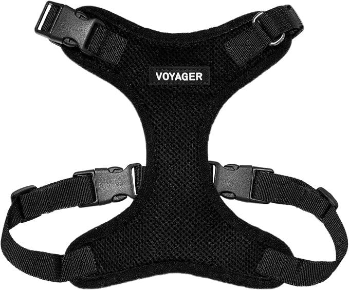 Voyager Step-in Lock Dog Harness - Black, Medium | 17 - 21" in Chest, Adjustable, Breathable Air Mesh, Lightweight for Daily Walks, Strong Clips, Heavy Duty D-Ring