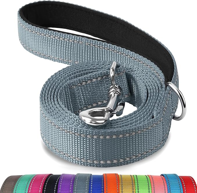 Joytale Reflective Dog Leash for Medium & Large Dogs, 6 FT x 1", Gray | Heavy Duty Nylon Webbing, Padded Handle for Comfort, Visible at Night, for Walking & Training