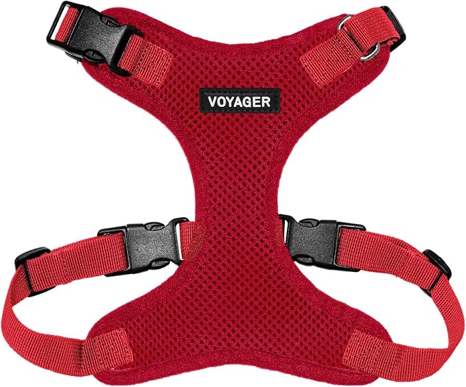 Voyager Step-in Lock Dog Harness - Red, Medium | 17 - 21" in Chest, Adjustable, Breathable Air Mesh, Lightweight for Daily Walks, Strong Clips, Heavy Duty D-Ring