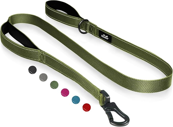 Twoear 5FT 1IN Heavy Duty Dog Leash for Large Dogs with 2 Padded Handles | Traffic Handle Extra Control, Auto Lock Hook, Strong Reflective Walking Leash for Night Safety, Medium and Large Breeds,Green