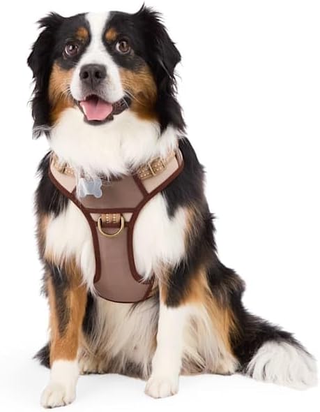 Reddy Canvas Dog Harness Tan Large