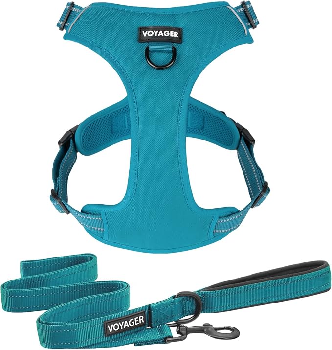Voyager Dog Harness Dual Leash Attachment No-Pull Control Adjustable Soft but Strong Pet Harness for Medium and Large Dogs with 3M Reflective Technology, Leash Set Turquoise Nylon, S (Chest: 16-20")