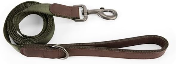 Reddy by Petco Jacquard Dog Leash Olive 6-ft Long 1-in Wide