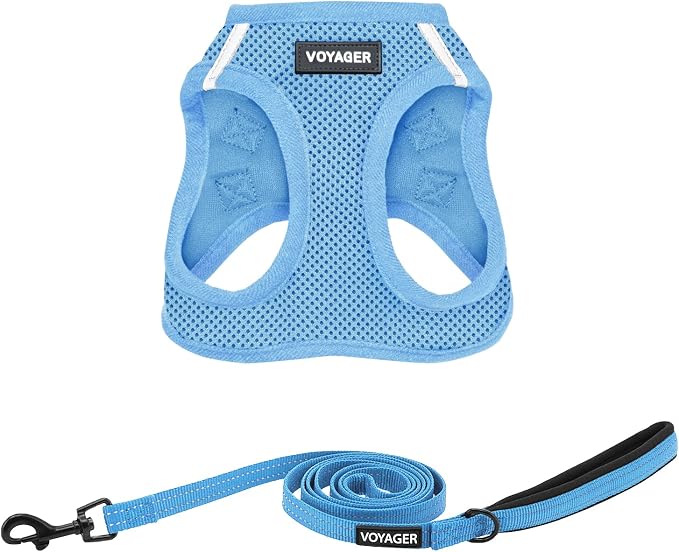 Best Pet Supplies Voyager Step-in Air All Weather Mesh Harness and Reflective Dog 5ft Leash Combo with Neoprene Handle, for Small, Medium and Large Breed Puppies - Baby Blue, Small