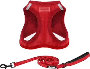 Best Pet Supplies Voyager Step-in Plush Dog Harness - Soft, Step in Vest Harness and Reflective Dog 5 ft Leash Combo with Neoprene Handle for Small and Medium Dogs, Red Corduroy, XS