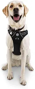 EveryYay by Petco Front Walking Reflective Dog Harness Black X-Large/XX-Large
