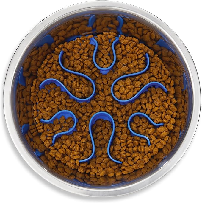 Outward Hound Fun Feeder Stainless Steel Slo Bowl for Dogs, Medium, 8.3" | Slows Fast Eaters, Can Aid Digestion, Holds 2 Cups Dry or Wet Food, Removable Maze, Non-Slip, Fits Raised Feeding Stations