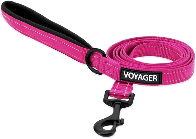 Best Pet Supplies Voyager Nylon Dog Leash - Fuchsia, Small | 5ft in Length, 5/8" in Width, Reflective, Soft Neoprene Handle, Heavy Duty Metal Clips for Running, Walking & Training
