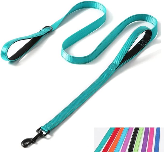 5FT Dog Leash with Two Handles, Reflective Nylon Lead Handle with Padded for Extra Control Outside Durable Training for Small Medium Large Breed Pet Dogs, Long 1-inch Width, Teal