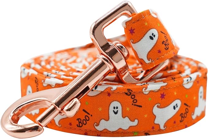 Lionheart glory Halloween Dog Leash Ghost Durable Dog Leashes with Comfortable Soft Handle for Small Medium and Large Girl or Boy Dogs