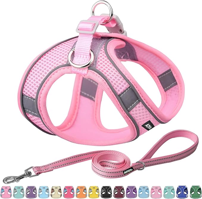 AIITLE Dog Harness and Leash Set, Step-in Puppy Pet Vest, Pure Pink S | Light, Soft, Breathable Air Mesh, Escape-Proof, Easy on and Remove with Hook &amp; Loop, Secure Reflective for Walking