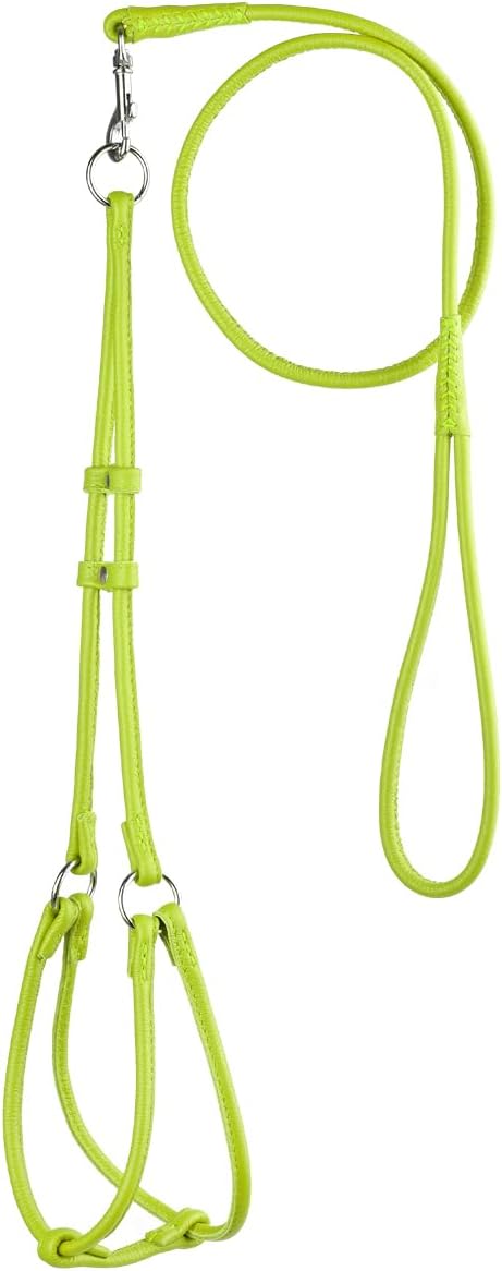 Soft and Padded Round Rolled Leather Step-in Dog Harness with 11 to 15 Inches Chest and 3-Feet Leather Dog Leash, Green
