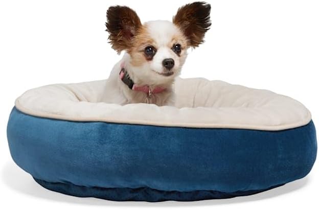 EveryYay by Petco Essentials Plush Bolster Round Dog Bed 14" L X 14" W Small Navy