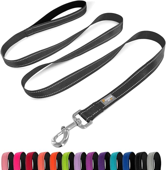 PenSeepet 6 FT Basic Dog Leash for Small Dogs,Black | Padded Handle,Metal D-Ring,Heavy Duty Nylon Webbing, for Walking & Training