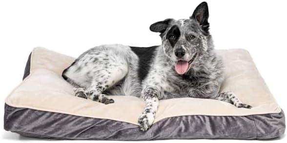 EveryYay by Petco Essentials Lounger Dog Bed 40" L X 30" W X 4" H Large Gray
