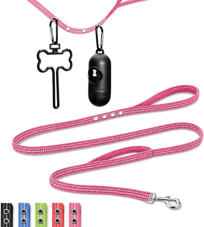 StitchLeash 6FT Reflective Nylon Dog Leash, Poop Bag Holder, 4 Clips, Pink | Award-Winning Stitch & Go System: padded + traffic handles, rotating hook, dispenser, hands-free waste carrier 6 ft x 1in