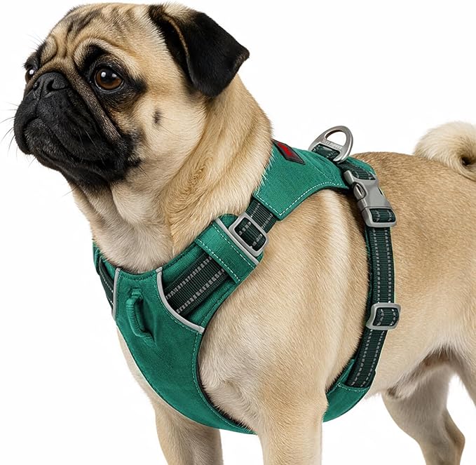 Tuff Pupper All-Day Wear Dog Harness | for Walking, Trail Running, Hiking | Front & Back Leash Clips | Reflective Trim | Easy On/Off Buckles | Lightweight Breathable | No Pull Design (Small, Teal)
