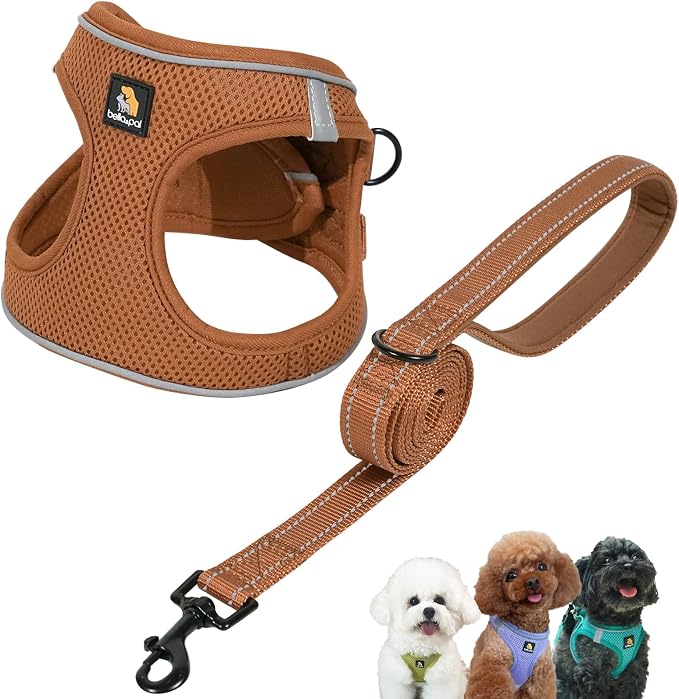 BELLA & PAL Step in Puppy Harness and Leash Set (Mokka, XS) | Breathable Air Mesh Vest Harness for Small Dogs, Lightweight, No Pull, Comfortable, Secure Reflective Strip, Fast Drying