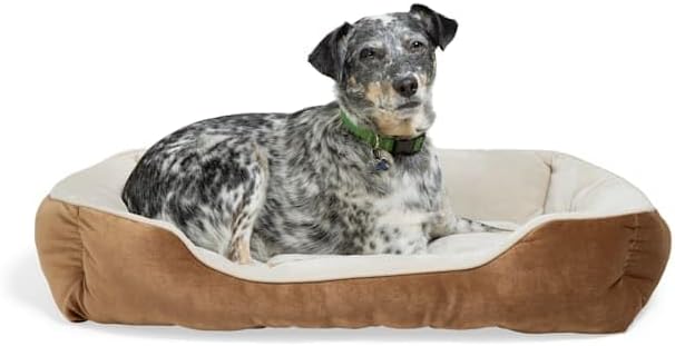 EveryYay by Petco Essentials Rectangle Nester Dog Bed, 32" L X 24" W, Medium, Brown