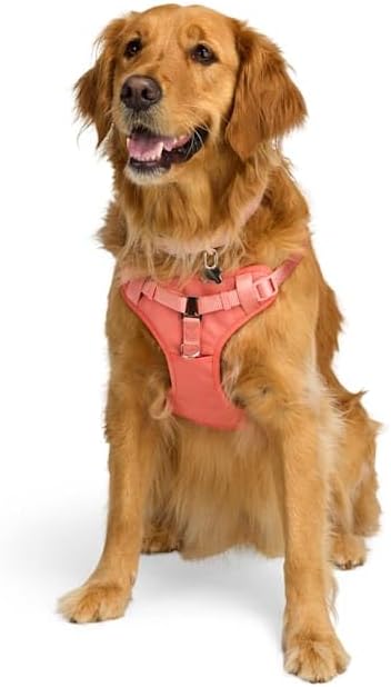 EveryYay by Petco Step in Dog Harness Pink Small