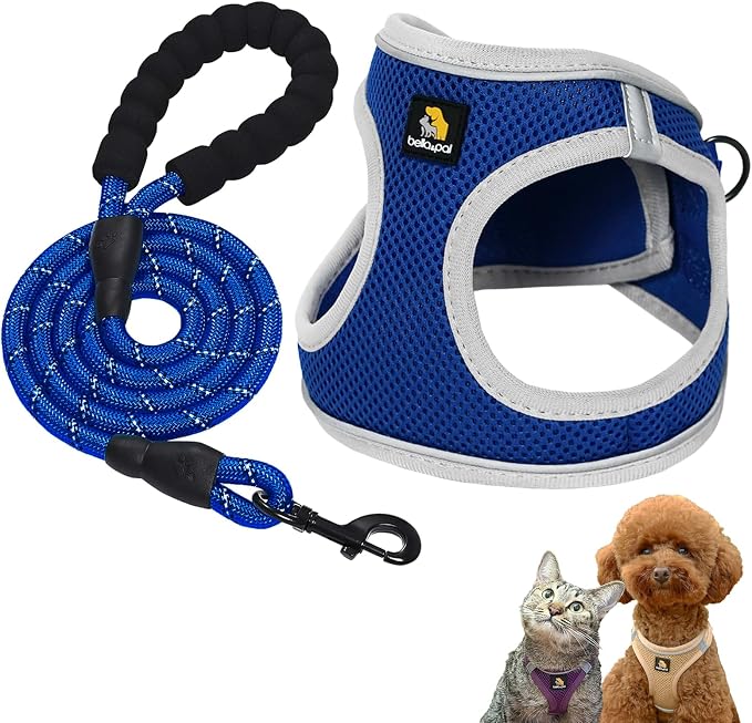 BELLA & PAL Step in Puppy Harness and Leash Set (Sapphire(Round Rope), M) | Breathable Air Mesh Vest Harness for Small Dogs, Lightweight, No Pull, Comfortable, Secure Reflective Strip, Fast Drying