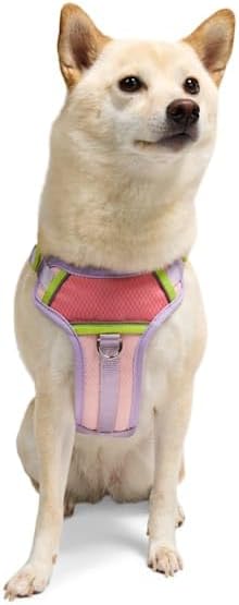 YOULY by Petco Adventure Reflective Dog Harness Pink Large