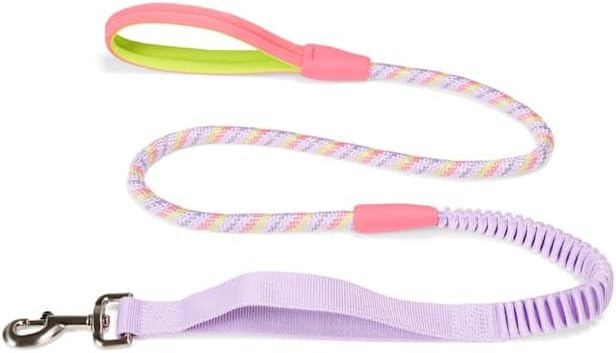YOULY by Petco Adventure Shock-Absorbing Dog Leash 5 ft. Pink