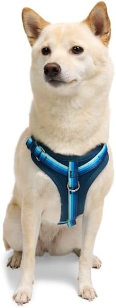 YOULY by Petco Comfort Neoprene Dog Harness Blue Large