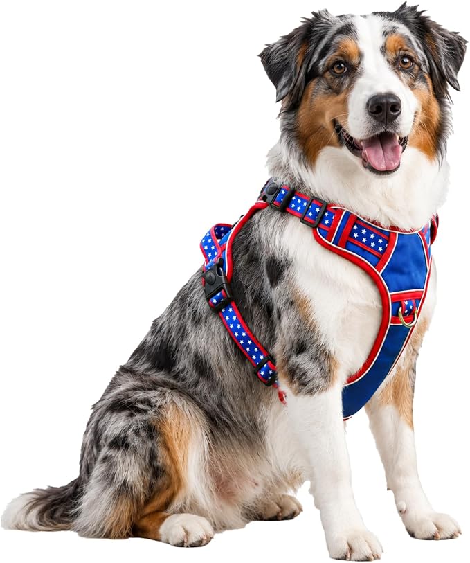 LUVMOJO Large Dog Harness No Pull, Heavy Duty Tactical Harness for Pet Labrador, Pitbull, 3 Buckles Easy On Doggie Vest with Sturdy Handle, Front Clip Training Harness for Boy Girl Puppy Walking (L)