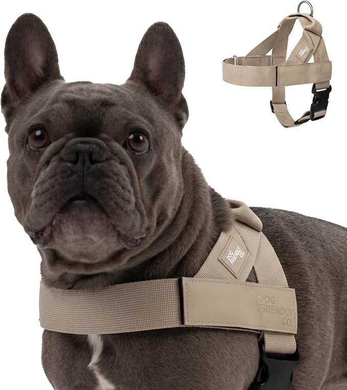 Dog Friendly Co. Dog Harness for Small Dogs, Adjustable (Khaki, Small) | One Click Buckle, Chafe Resistant Webbing, Adjustable Neck &amp; Chest, and Heavy Duty D-Ring, Sturdy Comfortable and Easy to Use