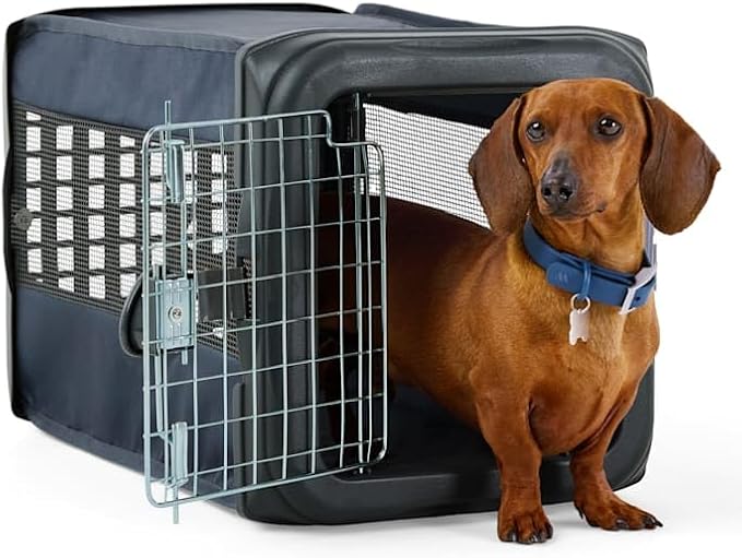 EveryYay by Petco Pop-Up Travel Pet Kennel 14.25" H Small Grey