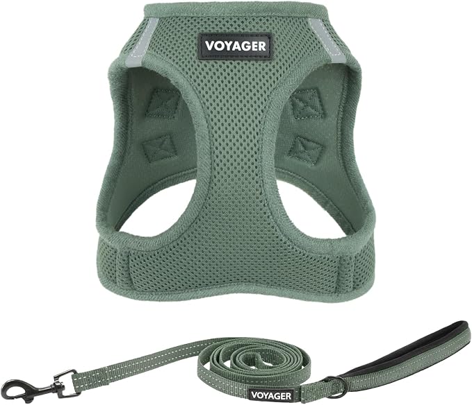Best Pet Supplies Voyager Step-in Air All Weather Mesh Harness and Reflective Dog 5ft Leash Combo with Neoprene Handle, for Small, Medium and Large Breed Puppies - Moss Green, Medium