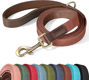 Didog PU Leather Dog Leash for Small Dogs, 5ft Soft Padded Handle, Brown | Comfortable Grip for Daily Walking Training, Full Control, Metal D-ring, Tangle-Free 360° Swivel Clasp, Easy to Clean, 5/8in