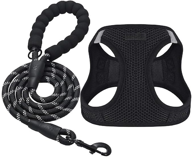 No Pull Dog Harness with Leash Combo, Reflective Escape Proof Step-in Vest, Breathable Mesh Soft Padded Design, Heavy Duty Comfortable Pet Harness for Small Medium Dogs and Puppies (Black, L)