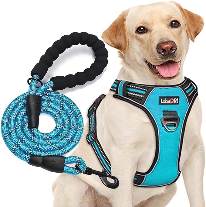 tobeDRI No Pull Dog Harness Adjustable Reflective Oxford Easy Control Medium Large Dog Harness with A Free Heavy Duty 5ft Dog Leash, Turquoise, L