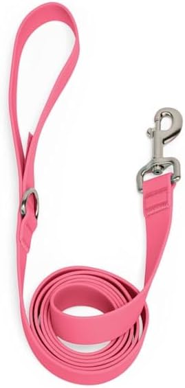 YOULY by Petco Waterproof Dog Leash, Light Pink, 6-ft Long, 1-in Wide